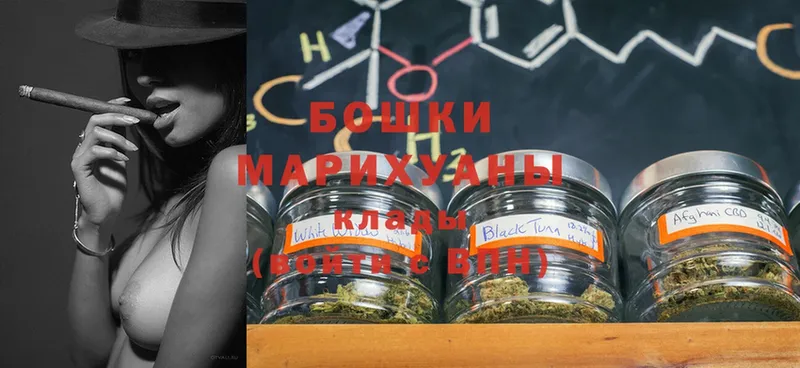 Бошки марихуана THC 21%  цены   Нижние Серги 